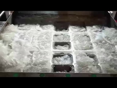 Macchina per scatole a conchiglia stampata in pasta di cellulosa SHM