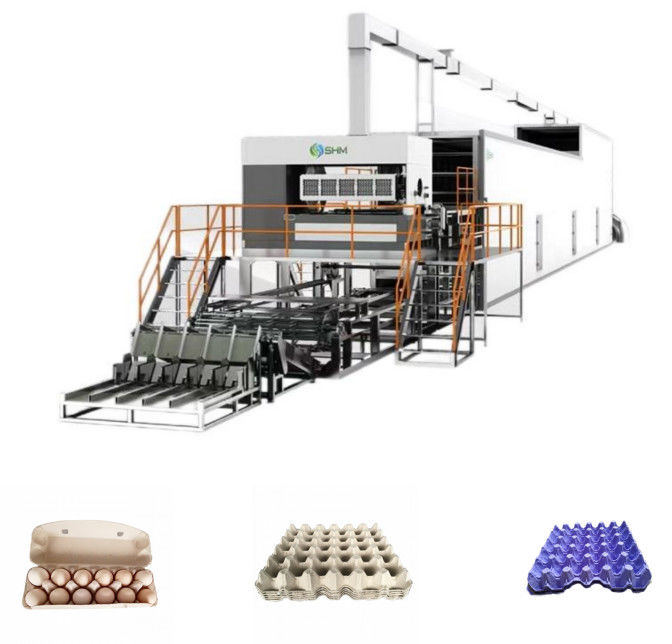 Linea di produzione di macchine per la fabbricazione del vassoio della polpa di frutta con sistema di pulizia automatico