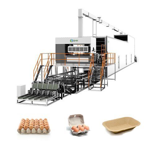 Macchina completamente automatica per la produzione di cartoni per uova in carta | Linea di produzione di scatole per uova in polpa stampata | SHM
