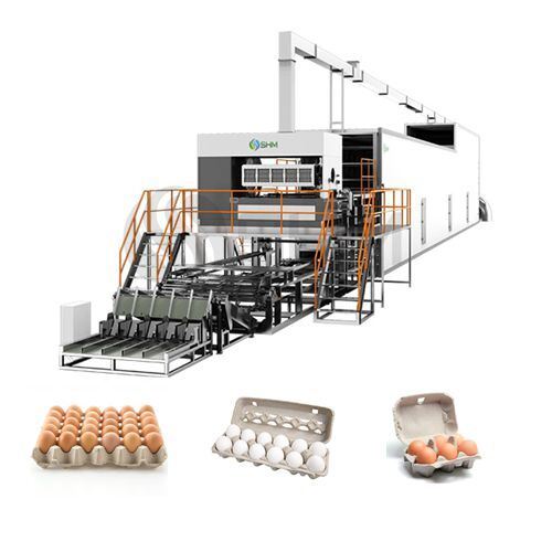 Macchina completamente automatica per la produzione di cartoni per uova in carta | Linea di produzione di scatole per uova in polpa stampata | SHM